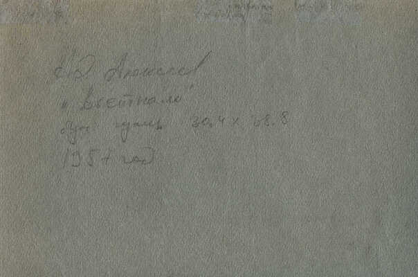 Алексеев Адольф Евгеньевич. Вьетнам